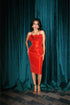 Vestido Las Rosas